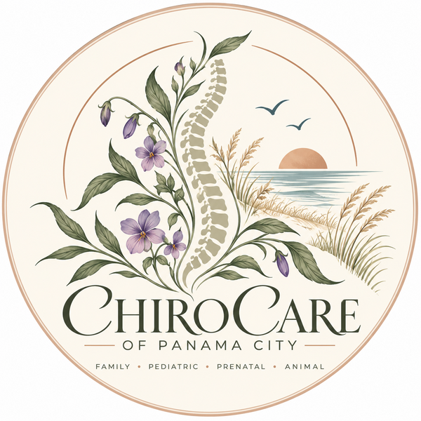 Chiropractic Care of Panama City