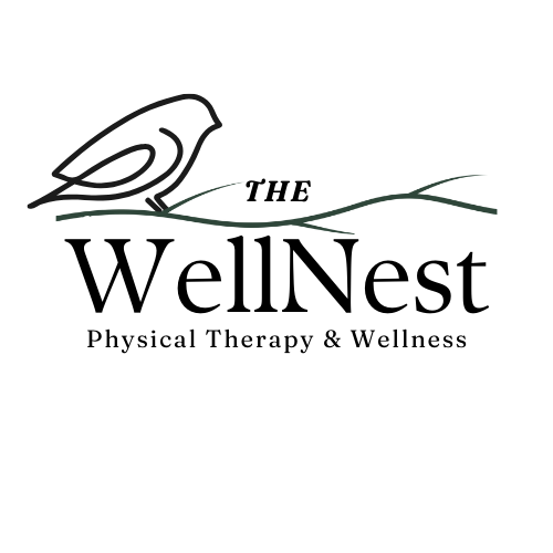 The WellNest Physical Therapy & Wellness