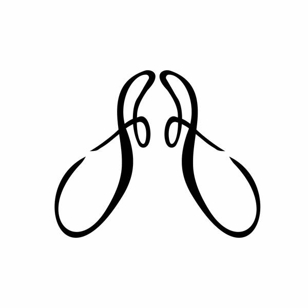 Floor Friendly - Holistic Pelvic Floor Physical Therapy