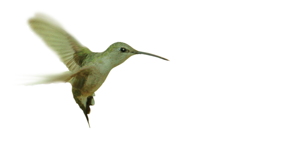 Mirashift